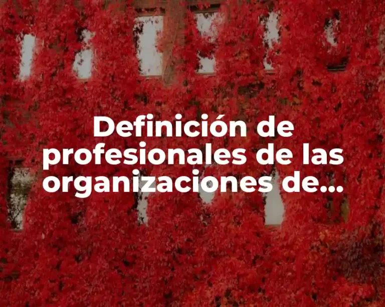Definición de profesionales de las organizaciones de servicio