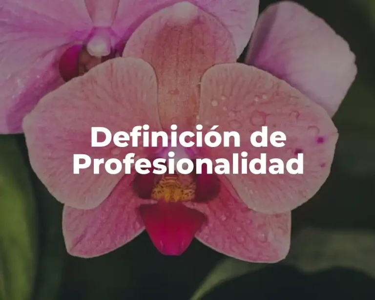 Definición de Profesionalidad
