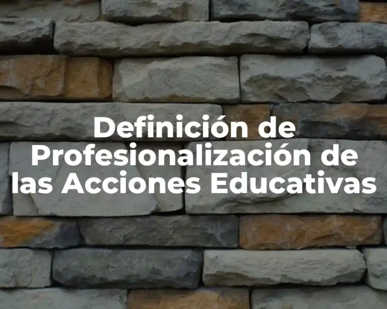 Definición de Profesionalización de las Acciones Educativas