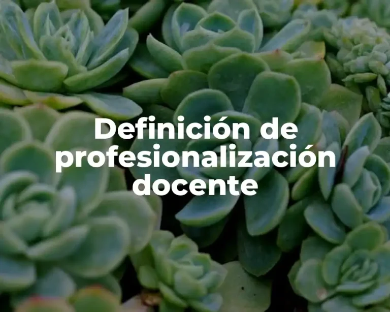 Definición de profesionalización docente