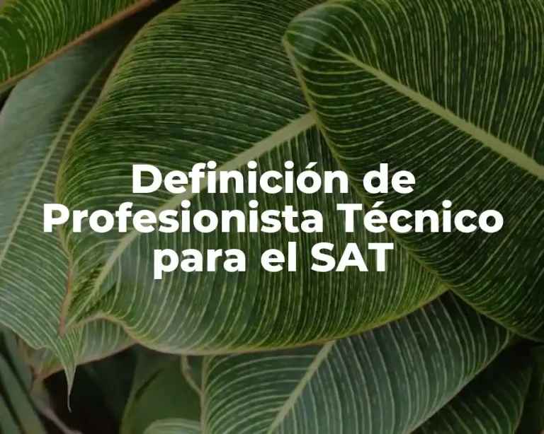 Definición de Profesionista Técnico para el SAT