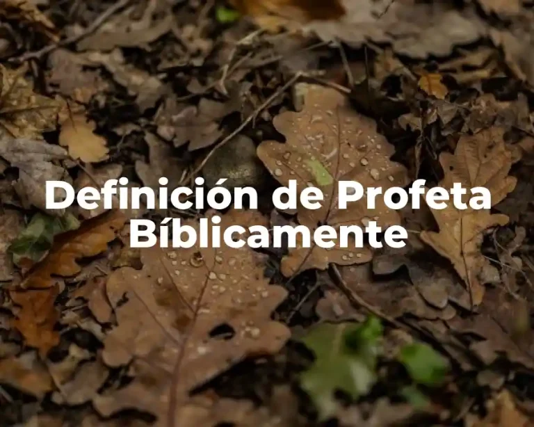 Definición de Profeta Bíblicamente