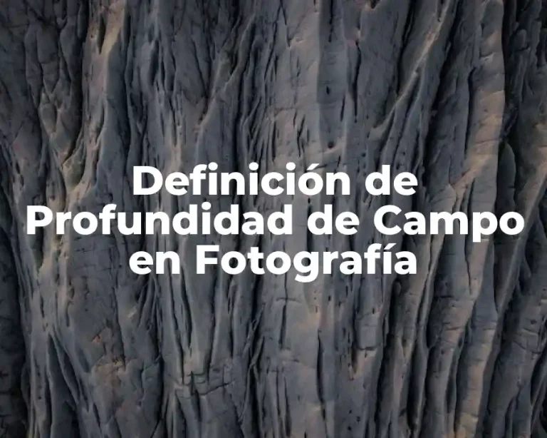 Definición de Profundidad de Campo en Fotografía