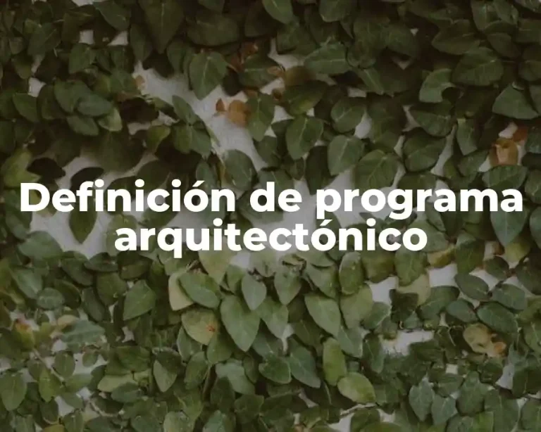 Definición de programa arquitectónico
