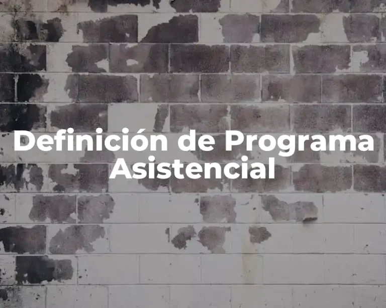Definición de Programa Asistencial