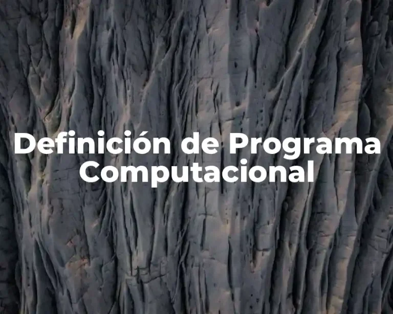 Definición de Programa Computacional