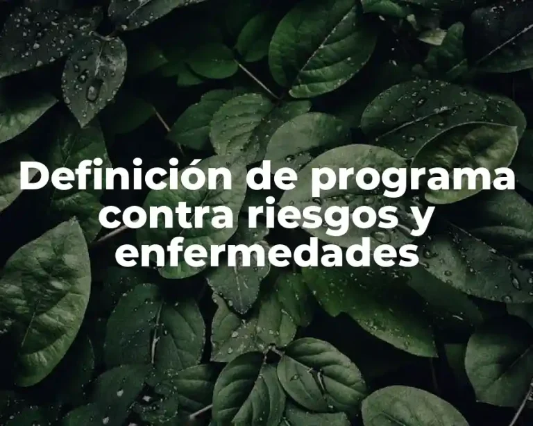 Definición de programa contra riesgos y enfermedades