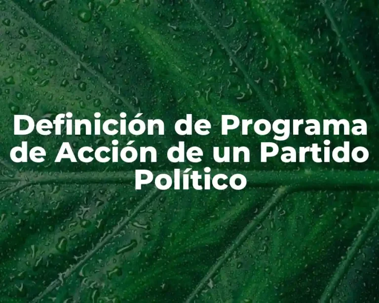 Definición de Programa de Acción de un Partido Político