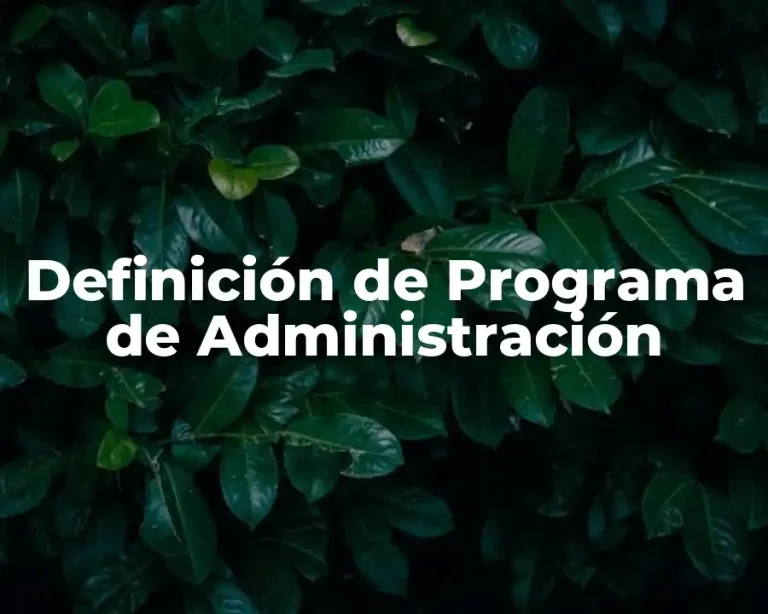 Definición de Programa de Administración