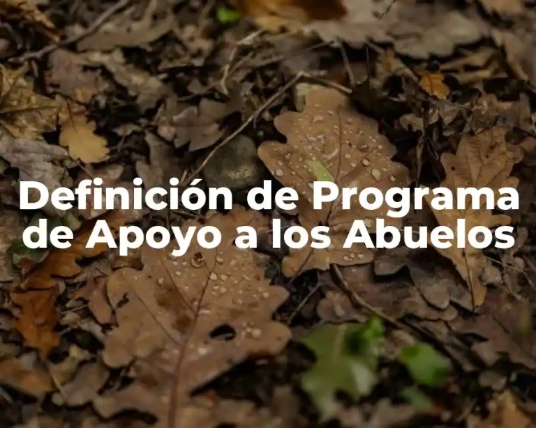 Definición de Programa de Apoyo a los Abuelos