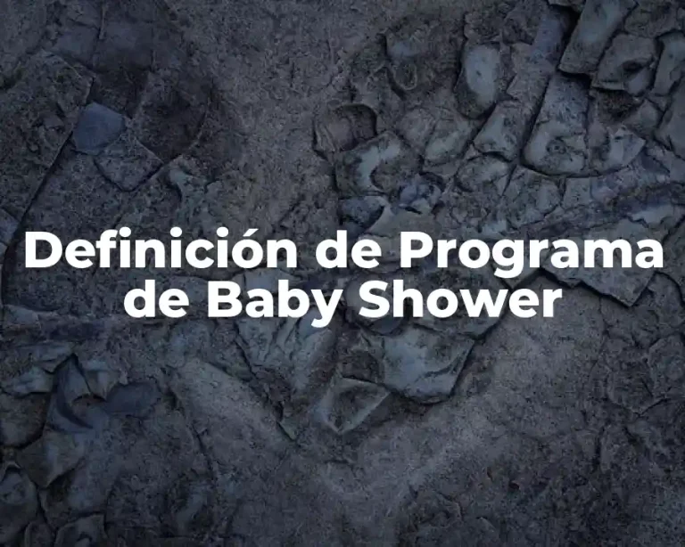 Definición de Programa de Baby Shower
