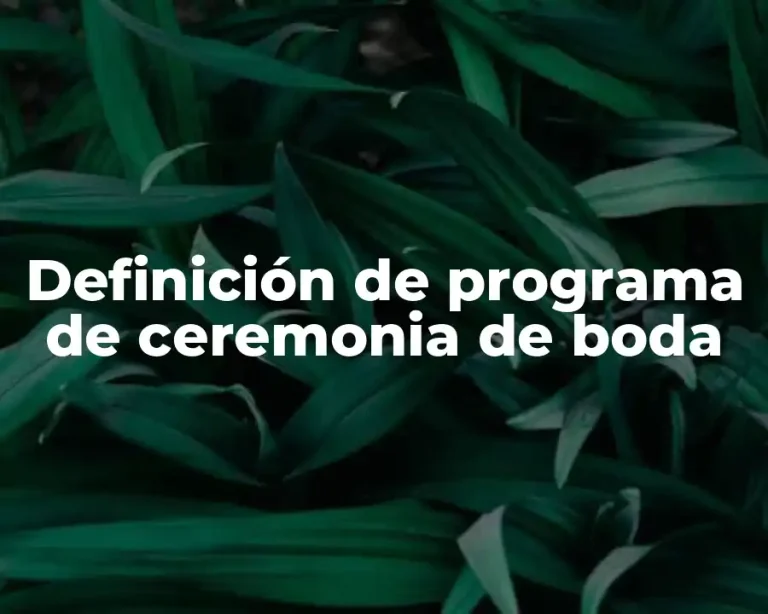 Definición de programa de ceremonia de boda