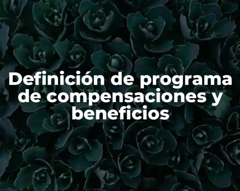 Definición de programa de compensaciones y beneficios