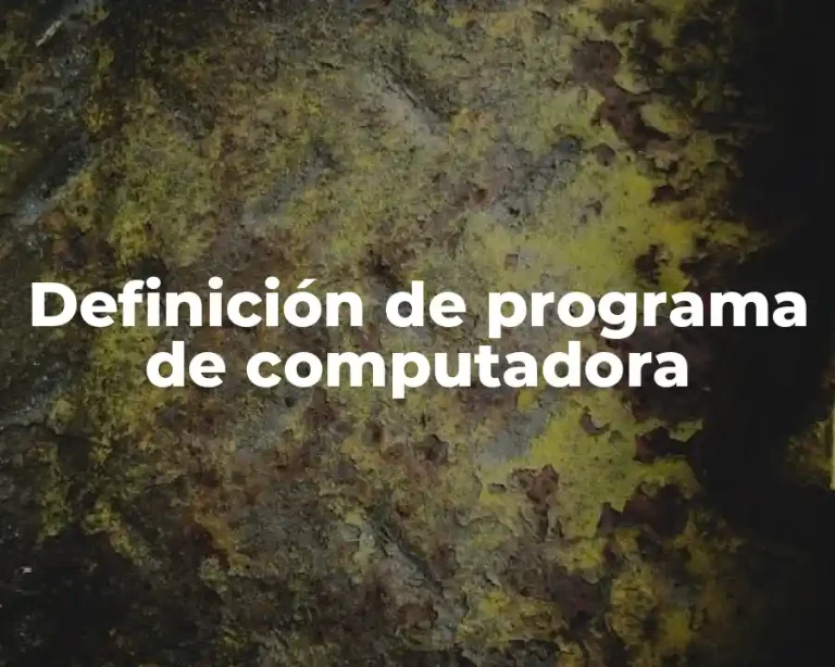 Definición de programa de computadora