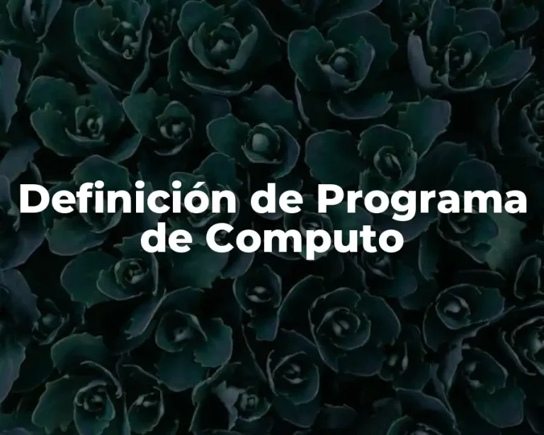 Definición de Programa de Computo