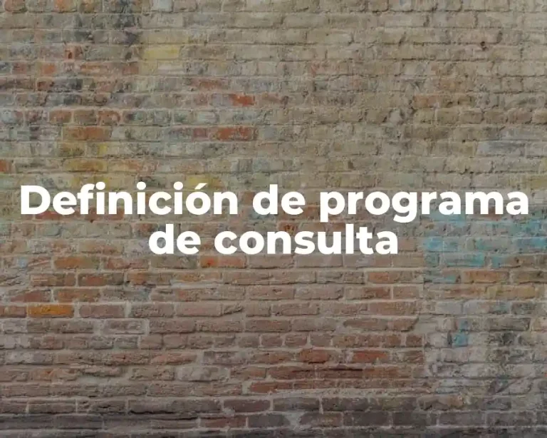 Definición de programa de consulta