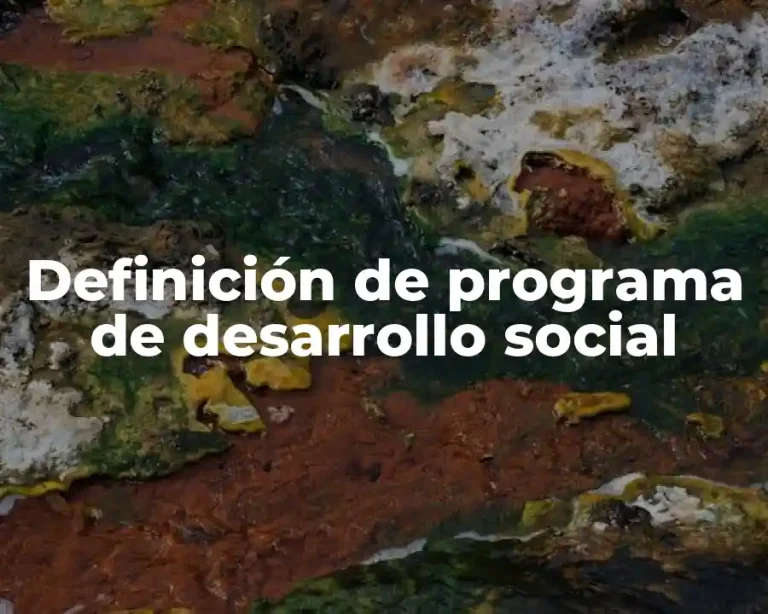 Definición de programa de desarrollo social