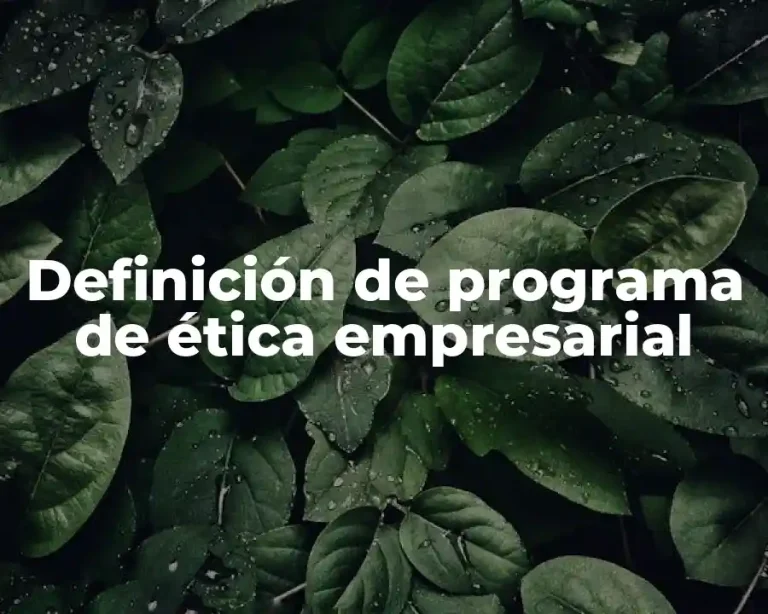 Definición de programa de ética empresarial