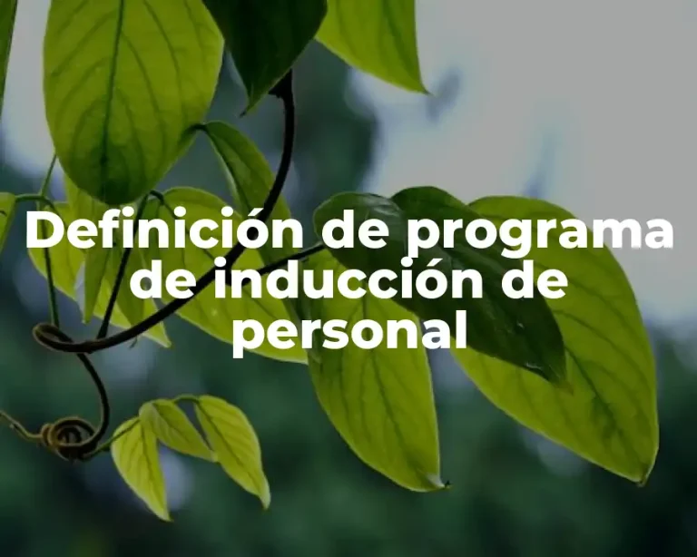 Definición de programa de inducción de personal