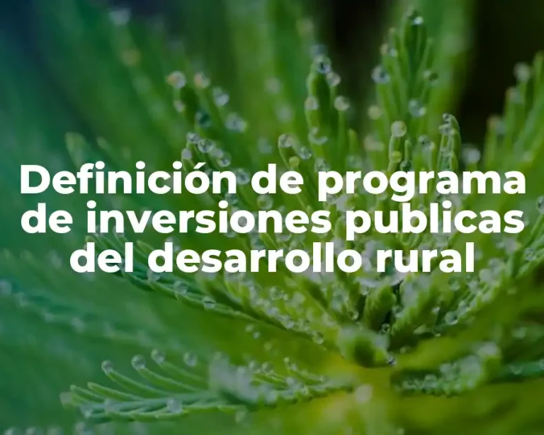 Definición de programa de inversiones publicas del desarrollo rural