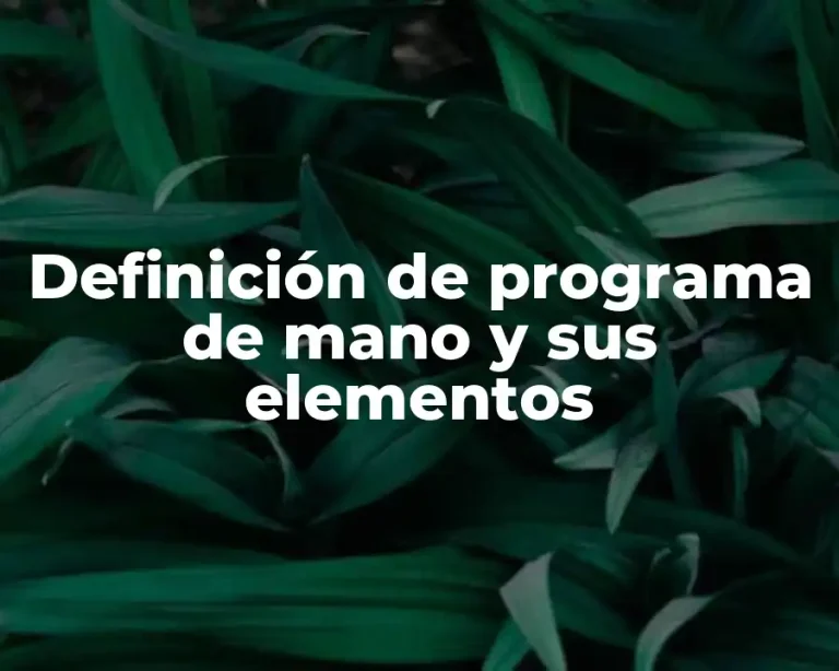 Definición de programa de mano y sus elementos
