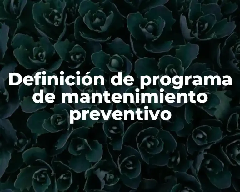 Definición de programa de mantenimiento preventivo