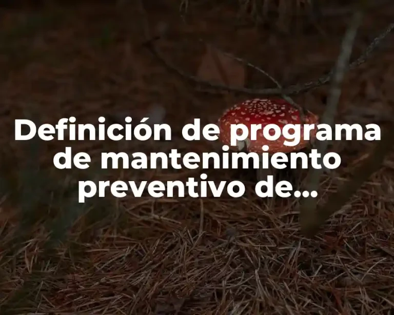 Definición de programa de mantenimiento preventivo de maquinaria