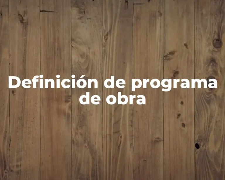Definición de programa de obra