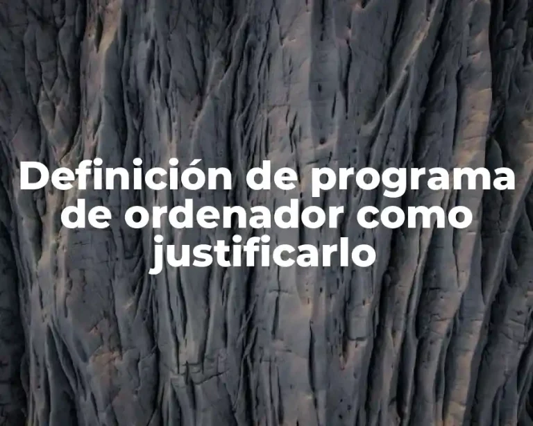 Definición de programa de ordenador como justificarlo