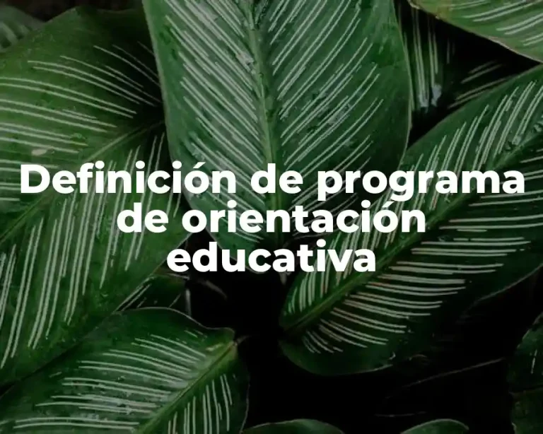 Definición de programa de orientación educativa