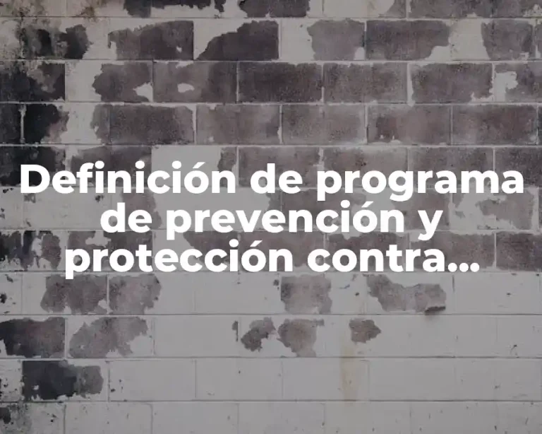 Definición de programa de prevención y protección contra caídas