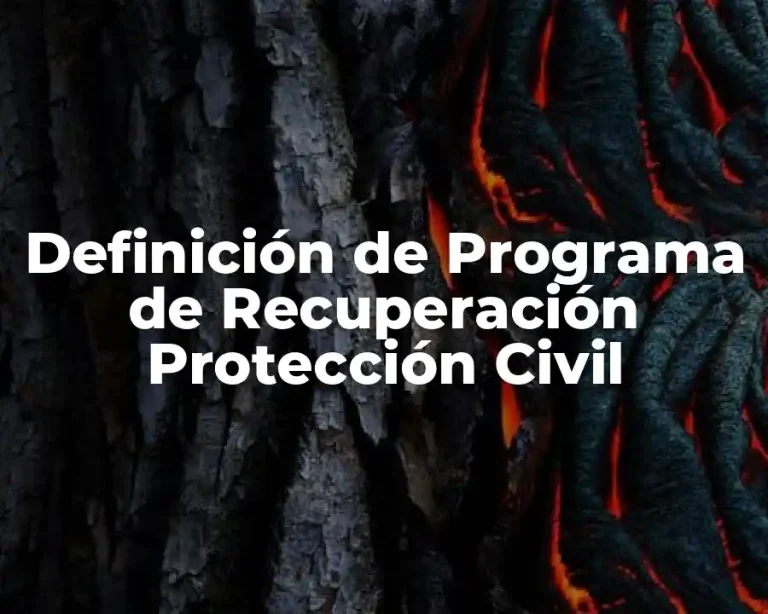 Definición de Programa de Recuperación Protección Civil