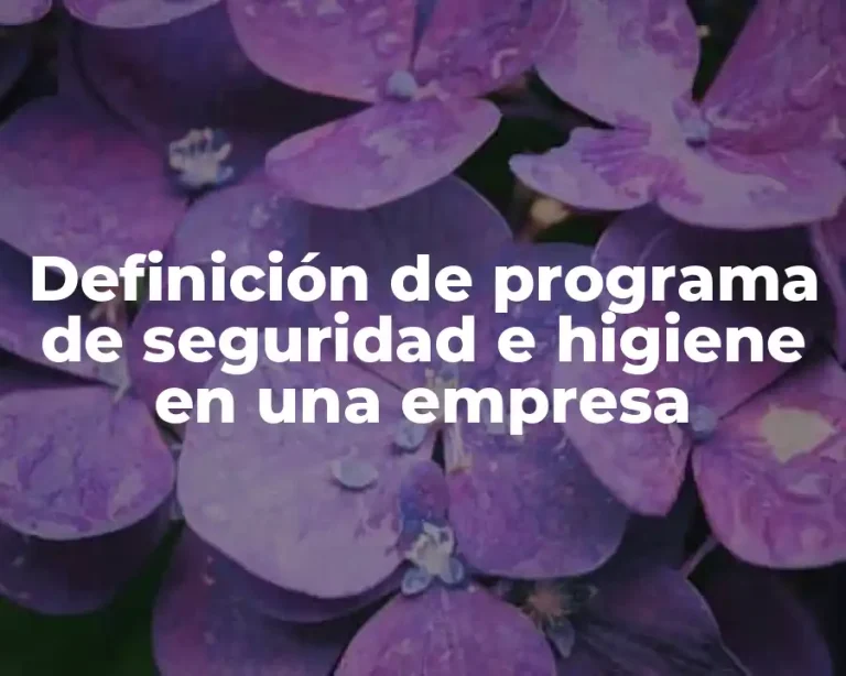 Definición de programa de seguridad e higiene en una empresa