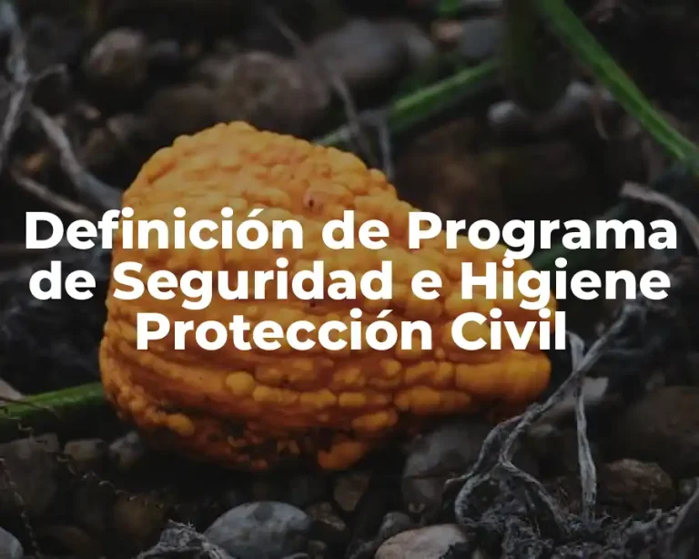 Definición de Programa de Seguridad e Higiene Protección Civil