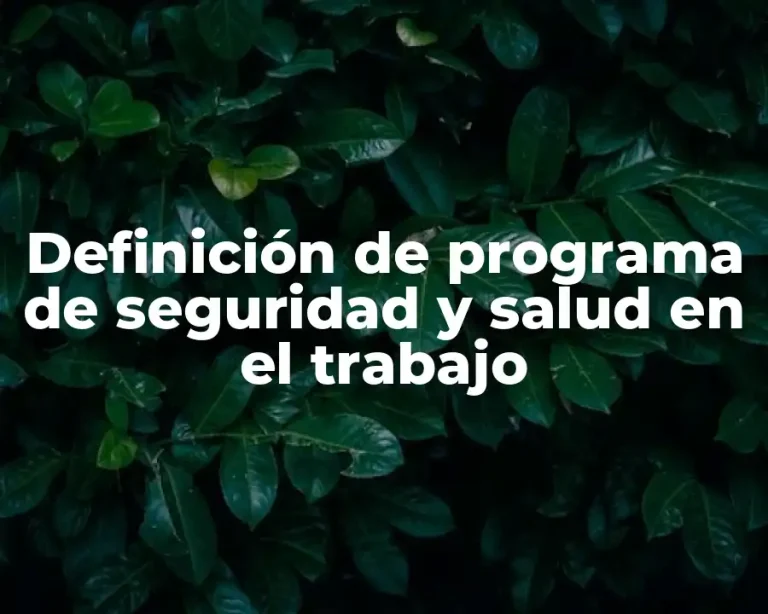 Definición de programa de seguridad y salud en el trabajo