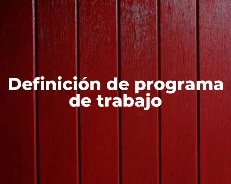 Definición de programa de trabajo