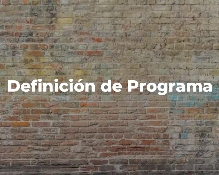 Definición de Programa