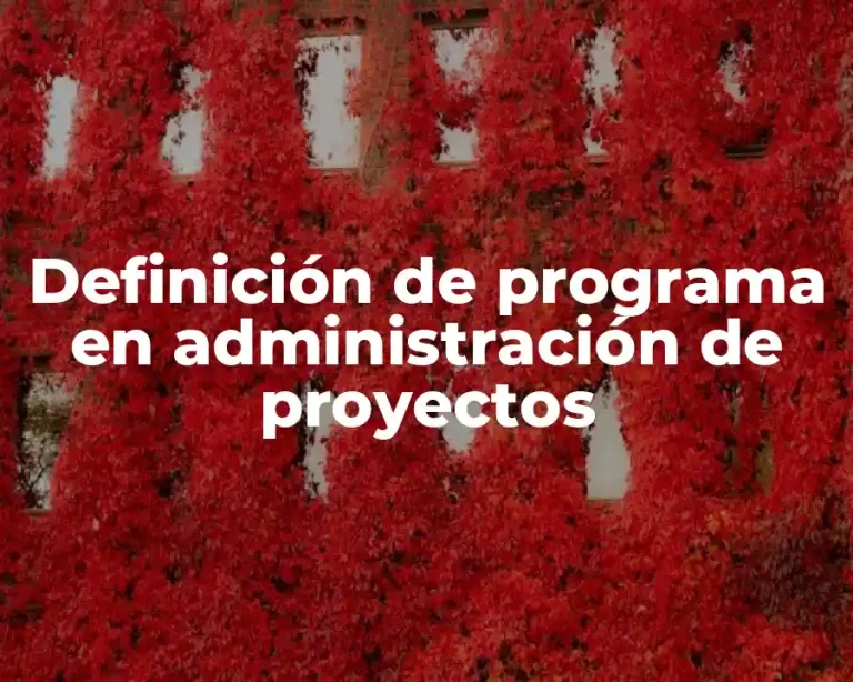 Definición de programa en administración de proyectos
