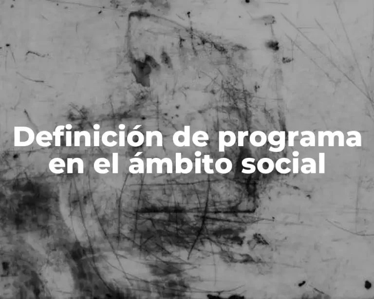 Definición de programa en el ámbito social