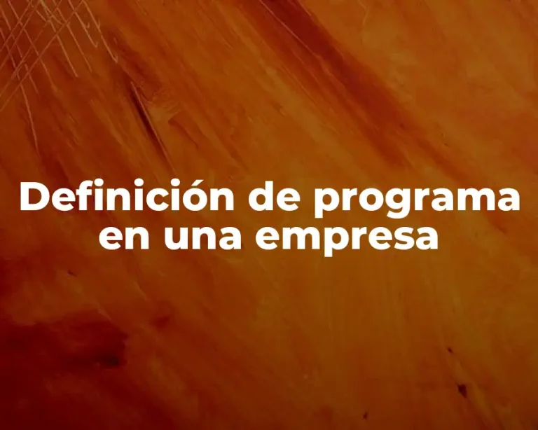 Definición de programa en una empresa