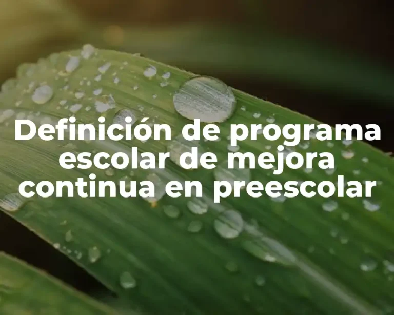 Definición de programa escolar de mejora continua en preescolar
