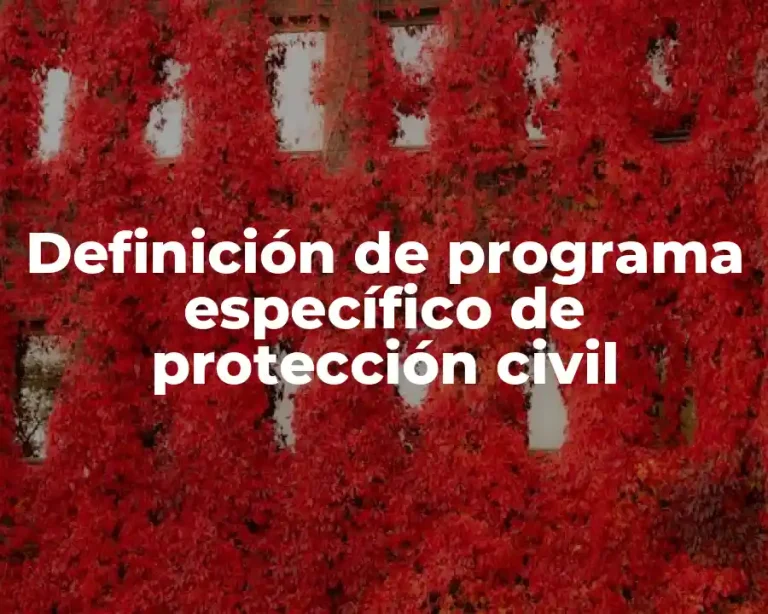 Definición de programa específico de protección civil