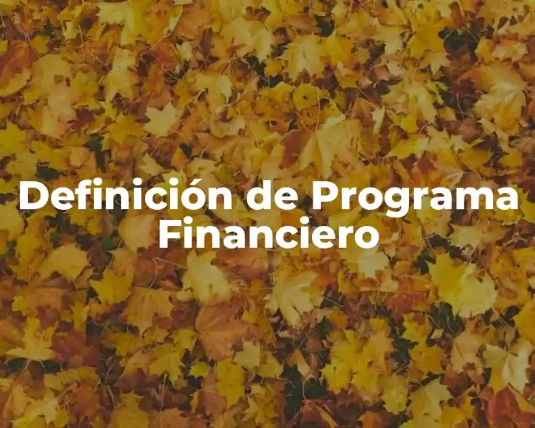 Definición de Programa Financiero