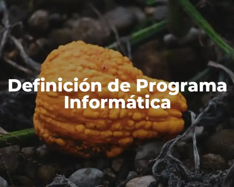 Definición de Programa Informática