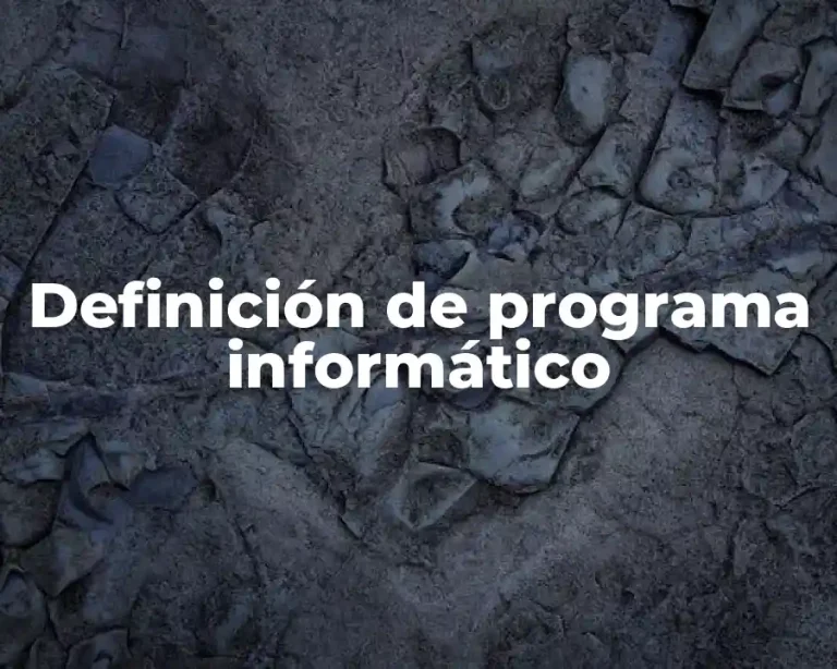Definición de programa informático