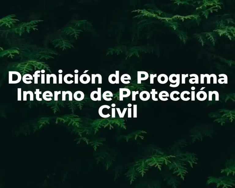 Definición de Programa Interno de Protección Civil