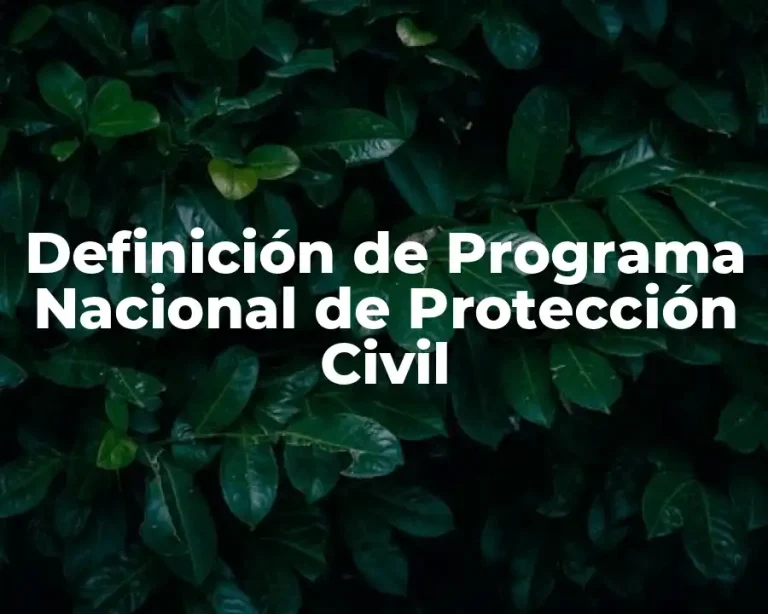 Definición de Programa Nacional de Protección Civil