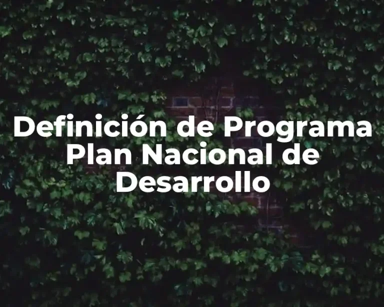 Definición de Programa Plan Nacional de Desarrollo