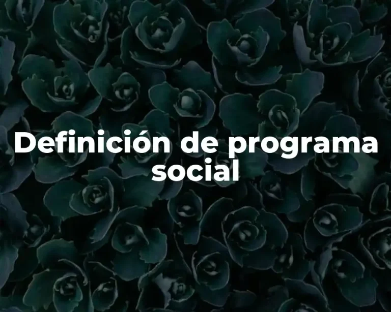 Definición de programa social