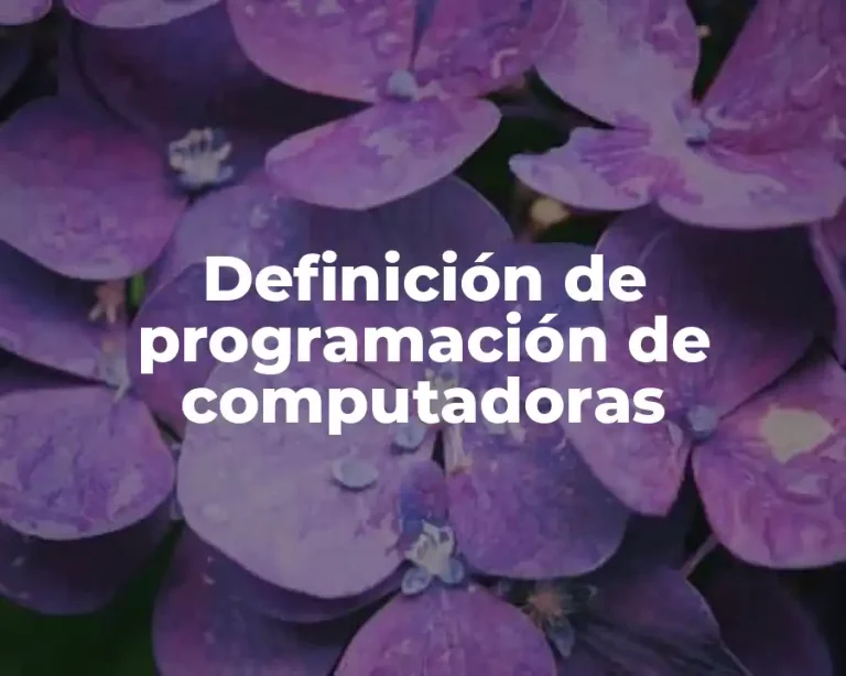 Definición de programación de computadoras